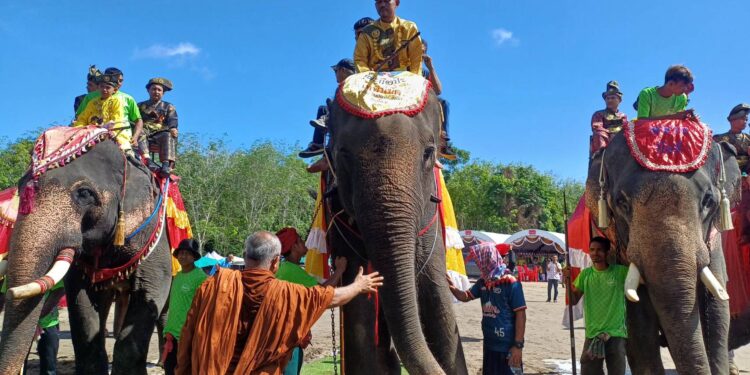 ปัตตตานี – นายกฯอบต.ประจัน เล่นใหญ่ แห่ช้าง 13 เชือก พาลูกชายเข้าสุหนัต ประเพณีโบราณสุดคึกคัก