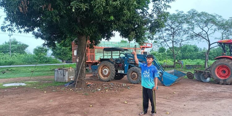 ช้างป่าอ่างฤาไน2ตัวบุกกินมะม่วงหน้าบ้านกลางดึกวงจรปิดจับภาพได้ขณะเจ้าของบ้านงัวเงียลุกขึ้นส่องไฟได้มองโดยปัญหาหลักจากจำนวนประชากรช้างป่ามีเพิ่มจำนวนมาก แหล่งอาหารและที่อยู่จำกัดไม่เพียงพอ ช้างป่าจะมาทั้งแยกเดี่ยว มาเป็นโขลงเล็ก – โขลงใหญ่ จนเกิดปัญหาผลกระทบระหว่างคนกับช้างมากมาย