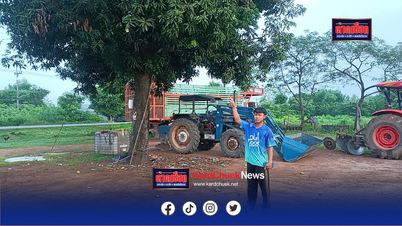 ช้างป่าอ่างฤาไน2ตัวบุกกินมะม่วงหน้าบ้านกลางดึกวงจรปิดจับภาพได้ขณะเจ้าของบ้านงัวเงียลุกขึ้นส่องไฟได้มองโดยปัญหาหลักจากจำนวนประชากรช้างป่ามีเพิ่มจำนวนมาก แหล่งอาหารและที่อยู่จำกัดไม่เพียงพอ ช้างป่าจะมาทั้งแยกเดี่ยว มาเป็นโขลงเล็ก – โขลงใหญ่ จนเกิดปัญหาผลกระทบระหว่างคนกับช้างมากมาย