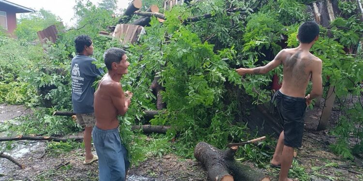 หนุ่มถูกต้นไม้ล้มทับบ้านข้ามวันยังเข้าบ้านไม่ได้ขณะบ้านของเพื่อนบ้านที่อยู่ติดกันถูกพายุพัดหลังคาพังเสียหายหลายแผ่น ซึ่งทางเจ้าของบ้านเกรงว่าฝนจะตกลงมาซ้ำอีก จึงไปซื้อกระเบื้องมาซ่อมแซมเองอีก 1หลังขณะฝน-ลมแรงได้พัดต้นไม้ใหญ่ริมถนนโค่นทับหนุ่มโรงงานลูกชายอดีตกำนัน