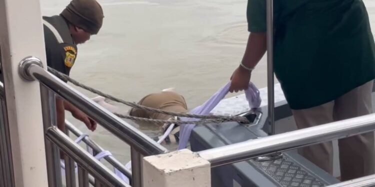 นนทบุรี พบศพหญิงนิรนาม ลอยน้ำติดกองสวะในแม่น้ำเจ้าพระยา ตรวจสอบไม่พบเอกสารในตัว