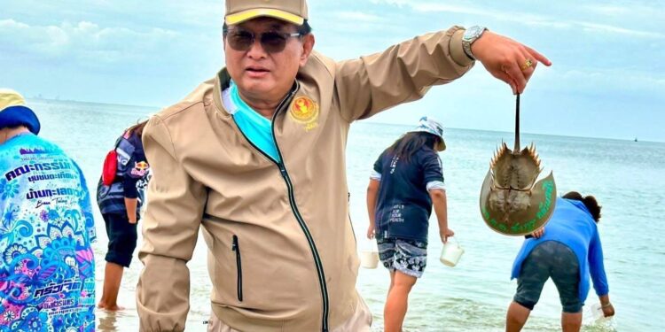 เดินหน้าพัฒนาสถานที่ปล่อยปูม้า ควบคู่การอนุรักษ์ทะเลอย่างยั่งยืน