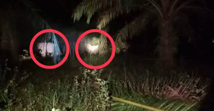 ชาวบ้านร้องทุกข์ ผวาโขลงช้างป่าทับลานบุกกินพืชสวน4คืนติดๆฉลาดสับเปลี่ยนเวลามาบุกกินสวนกล้วย มันสำปะหลัง ไผ่ตงหวานอิ่มแปร้ทุกรอบเสียหายมากกว่าหมื่นปีที่ผ่านมาเคยทุบกำแพงบ้านฉกปลาร้าในครัวมาก่อน