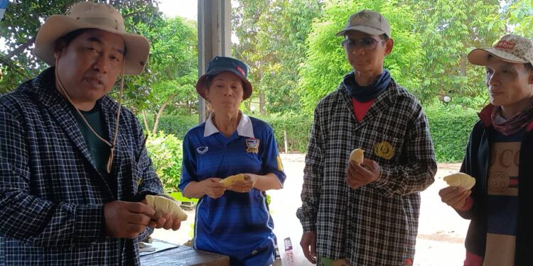 ชวนแวะชิมทุเรียน อ.นาดี “หมอนทองตีนเขามรดกโลก”อิ่มอร่อย ในบรรยากาศแหล่งโอโซนอันดับ 7 ของโลก ระหว่างอุทยานแห่งชาติเขาใหญ่ กับ อุทยานแห่งชาติทับลาน เป็น…หมอนทองรุ่นล่าสุดของปราจีนฯ…ต่างจากทุกอำเภอ แจงก่อนหน้าชาวบ้านปลูกสมุนไพรขมิ้นชันแปรรูป เจอปัญหาโรคพืชจึงหันมาปลูกทุเรียนทดแทน รายได้กระฉูดหลักแสนถึงหลักล้านต่อปี