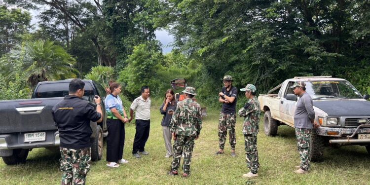 หมูป่าดุร้ายทำร้ายคนบาดเจ็บ เจ้าหน้าที่เร่งช่วยเหลือและเตือนประชาชนระวังให้ตัว