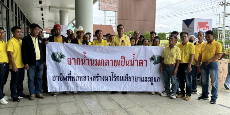 ปทุมธานี เกษตรกรนมดิบบุกอ.ส.ค.ทวงหนี้เงินค่าน้ำนมดิบ 700 ล้านบาทจากองค์การส่งเสริมกิจการโคนมแห่งประเทศไทย