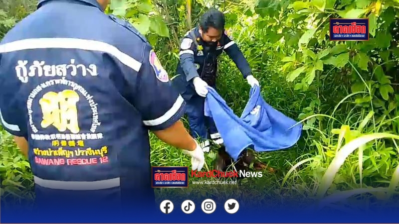 นาที กู้ภัยช่วยน้องหมาถูกรถชนหนีเข้าป่าไม่ได้กินข้าวอด 3 วัน