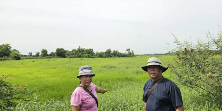 ชาวนาร้องทุกข์ชาวนาทั่วไทยยังไม่ได้รับเงินชดเชยไร่ละ1000บาท  พร้อมเรียกร้องถึงรัฐบาลชุดใหม่ราคาข้าวตกต่ำสุดเหลือเพียง 5,100 – 5,200 บาท ต่ำกว่าราคาต้นทุนที่ชาวนาลงทุนสูงมากกว่า 5,000 บาท/ไร่    ขณะ สส.ปราจีนฯแจงได้อภิปรายในสภาเมื่อเร็ว ๆนี้แล้ว