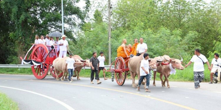 กลุ่มกำนันกับผู้ใหญ่พนัสนิคม ทำเพื่อปู่จัดขบวนเคลื่อนย้ายร่างผู้วายชนม์ด้วยการเอาควายเทียมเกวียนจากบ้านไปวัด ระยะทางเกือบ 5 กม. ได้รับความสนใจจากชาวบ้านตลอดเส้นทางที่ผ่าน