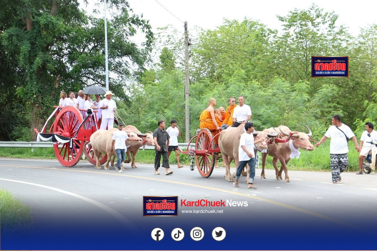 กลุ่มกำนันกับผู้ใหญ่พนัสนิคม ทำเพื่อปู่จัดขบวนเคลื่อนย้ายร่างผู้วายชนม์ด้วยการเอาควายเทียมเกวียนจากบ้านไปวัด ระยะทางเกือบ 5 กม. ได้รับความสนใจจากชาวบ้านตลอดเส้นทางที่ผ่าน