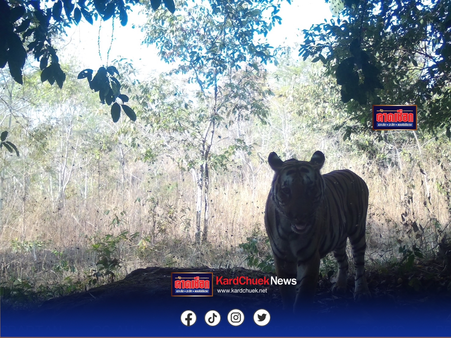 ป่าผาเม่น-ภูพอก แผน การจัดการความขัดแย้งระหว่างคนกับช้างป่าสัต์ป่า ให้อยู่ร่วมกันอย่างผาสุก: