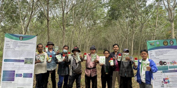 มหาวิทยาลัยราชภัฏยะลา ร่วมกับ กยท. เดินหน้าฉีดพ่น “สารชีวภัณฑ์ มรย.1 และ มรย.2” แก้ปัญหาโรคใบร่วงยางพารา ทดลองพื้นที่ 80 ไร่ สู่ “ยะลาโมเดล”