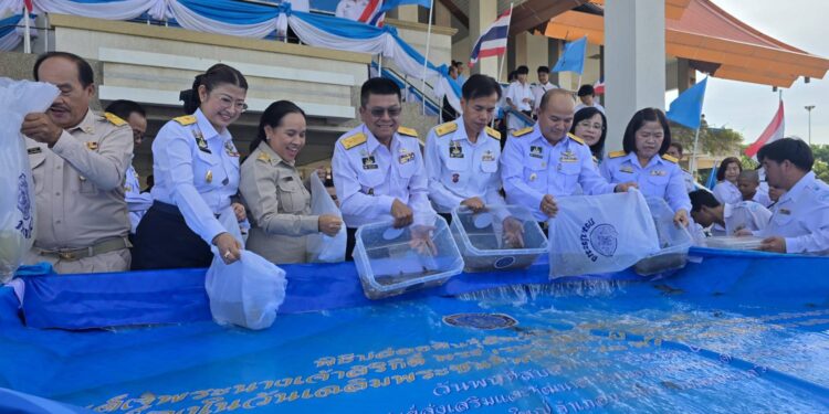 กรมประมง…ร่วมเฉลิมพระเกียรติ สมเด็จพระบรมราชชนนีพันปีหลวง เนื่องในโอกาสวันเฉลิมพระชนมพรรษา 93 พรรษา จัดพิธีปล่อยพันธุ์สัตว์น้ำและกุ้งก้ามกรามคืนสู่แม่นํ้าเจ้าพระยา รวมกว่า 1.32 ล้านตัว