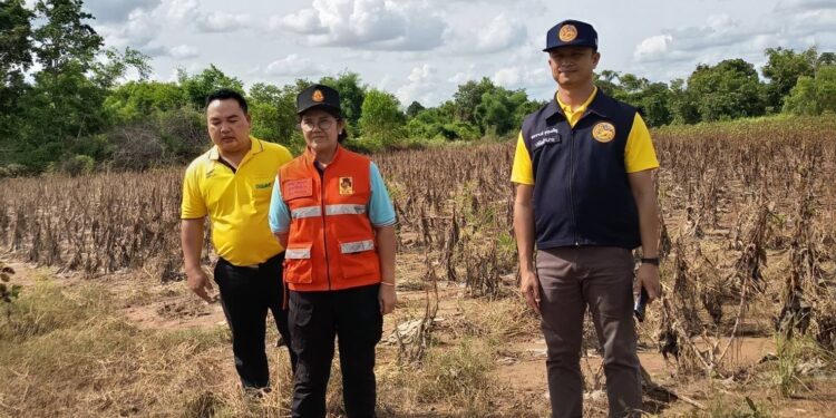 อำนาจเจริญ แม่น้ำโขงหนุนสูงแต่มีแนวโน้มลดลงนาข้าว 300 ไร่ มันสำปะหลังประมาณ 30 ไร่และพืชผักจำนวนมาก ปภ.ออกสำรวจ พร้อมให้การช่วยเหลือแล้ว