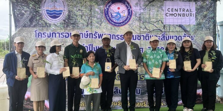 โครงการอนุรักษ์ทรัพยากรธรรมชาติและสิ่งแวดล้อมประจำปี 68 กิจกรรมอนุรักษ์ป่าชายเลน  “เพิ่มพื้นที่สีเขียวด้วยการปลูกต้นไม้”