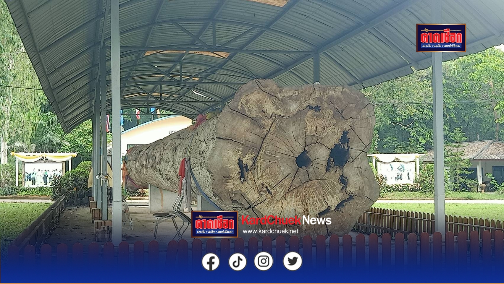 สกลนคร ทึ่งยางนายักษ์อายุกว่า 400 ปี แห่ขอโชคลาภได้เลข 10