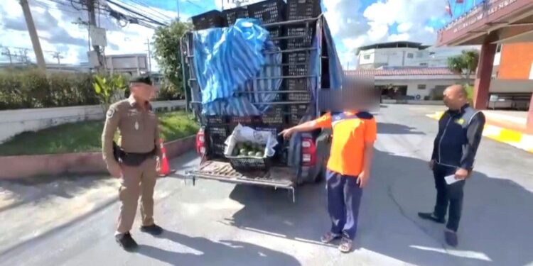 ตำรวจทางหลวงอยุธยา รวบ 2 หนุ่มกระบะคอก 2 คัน รับงานผ่านกลุ่มไลน์ ขนอะโวคาโด เถื่อนมูลค่านับล้าน เข้ากรุง คอตกอ้างไม่รู้แค่รับงานแลกเงิน 5 พัน ( ตำรวจฝากรบกวนเบลอหน้า ผู้ต้องหาทั้ง 2 คน ด้วยนะครับ )