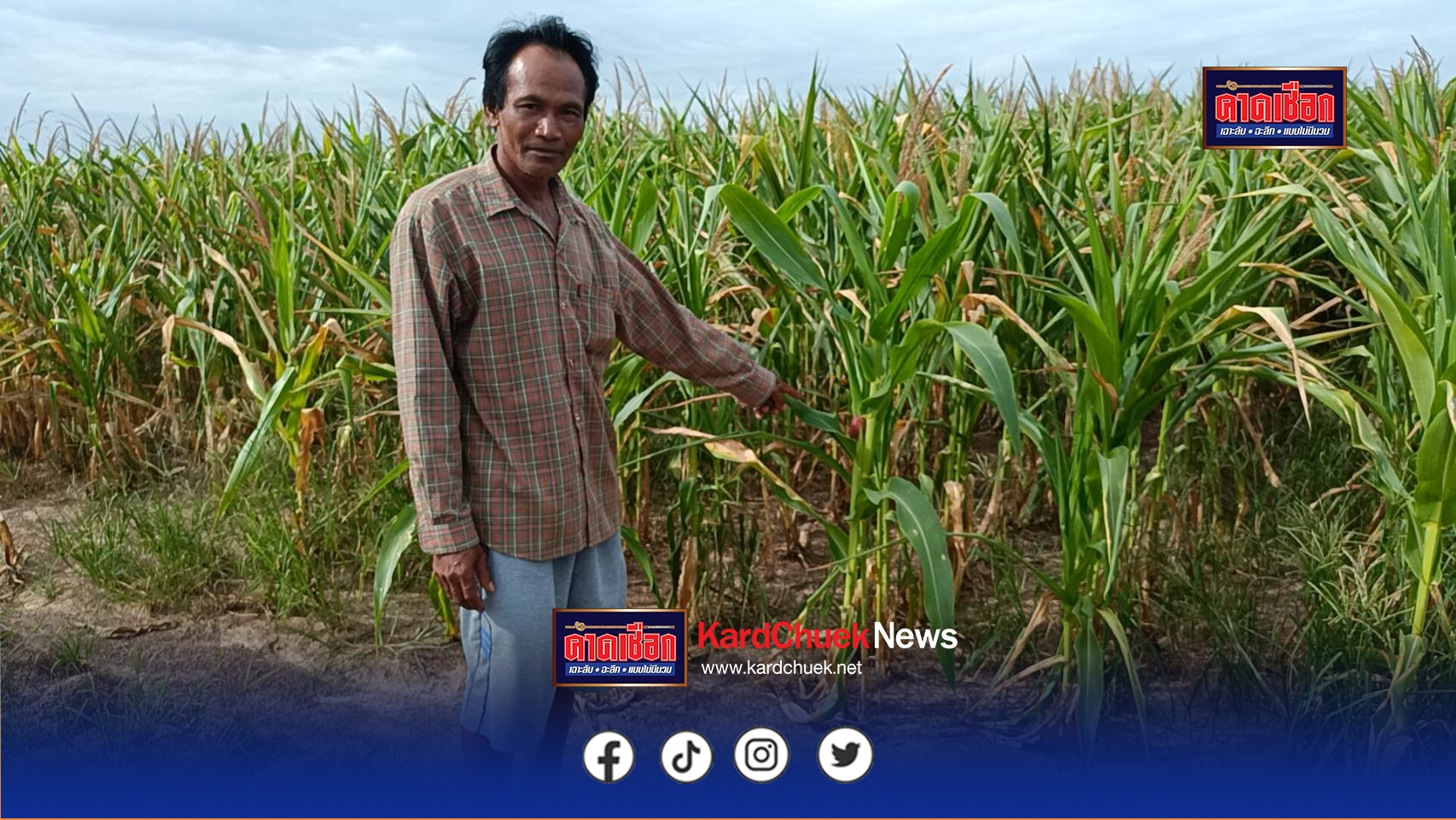 ปราจีนบุรี-ร้องทุกข์ชาวบ้าน!ฝนทิ้งช่วงข้าวโพดขาดน้ำยืนต้นแห้งตาย