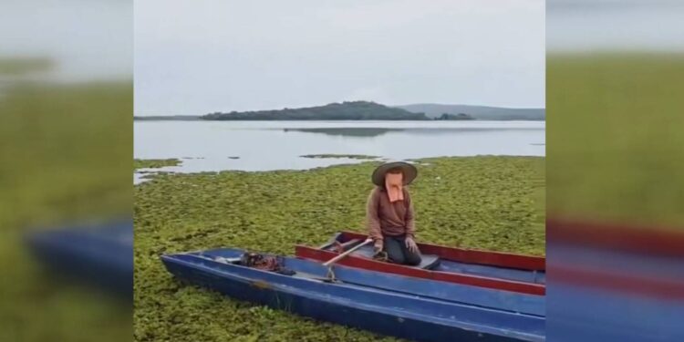 สกลนคร วัชพืชจอกหูหนูยักษ์ยึดเขื่อนน้ำอูน ควรกำจัดทิ้งหรือเอามาทำประโยชน์