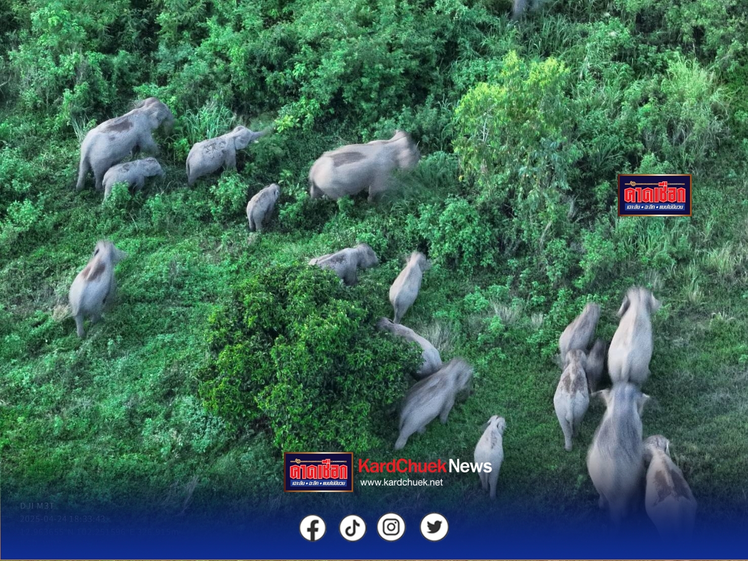 ปราจีนบุรี-กรมอุทยานฯ เตรียมทำแผนที่อัพเดตข้อมูลช้างป่าภาคตะวันออก หลังพบช้างออกจากป่าไกลถึง 40 กม.