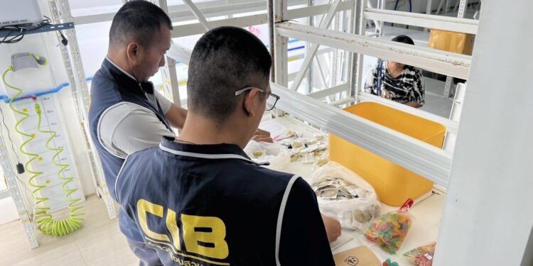 ตำรวจ ปคบ.ร่วมกรมการแพทย์แผนไทยฯ ค้นแหล่งผลิตเยลลี่ คุกกี้ผสมกัญชา ปลูก-ทำ-ขายออนไลน์ ดัดแปลงส้วมเป็นที่ผสมสูตร ยึดของกลางกว่า 5 ร้อยชิ้น มูลค่ากว่า 9 แสนบาท