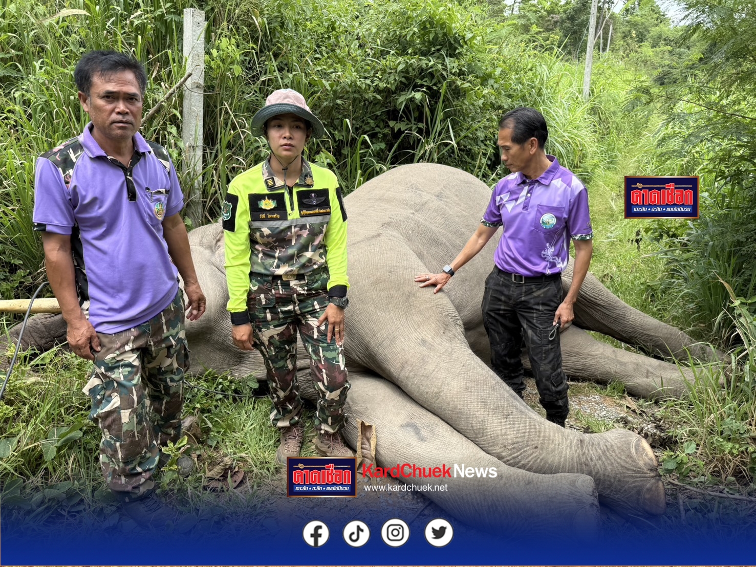 ปราจีนบุรี-ระวังภัย! ช้างป่าเขาใหญ่“พลายขุนศึก” หรือนามเรียก “งาปลี”ถูกกระแสไฟฟ้าช็อตตายพบสายไฟฟ้าติดอยู่ที่ปลายงวงและบริเวณปาก