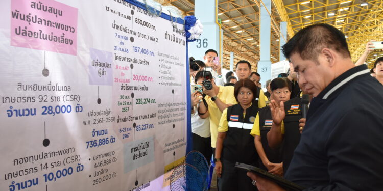 รมว.ธรรมนัส” ลงพื้นที่สมุทรสงคราม ติดตามภารกิจกรมประมง กำจัดปลาหมอคางดำ – ถอนเรือประมงจากระบบ สร้างสมดุลทรัพยากรทะเลอย่างยั่งยืน