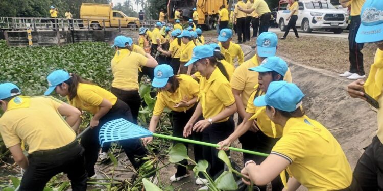 นครปฐม-สปส.นครปฐมร่วมกำจัดผักตบชวาคลองเจดีย์บูชา 