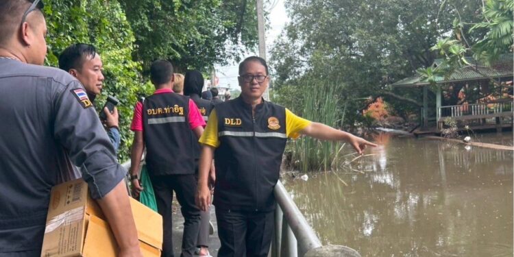 ครอบครัวปศุสัตว์นนทบุรี    ปศุสัตว์จังหวัดนนทบุรีมอบถุงยังชีพและอาหารสัตว์เลี้ยงแก่ผู้ประสบภัยด้านปศุสัตว์ในพื้นที่อำเภอเมือง และอำเภอปากเกร็ด จังหวัดนนทบุรี