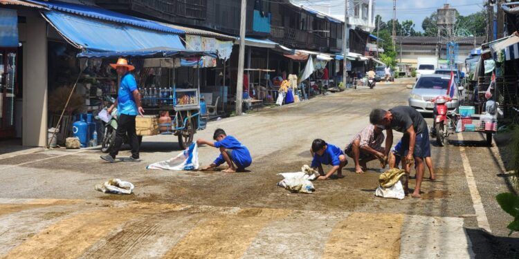 ชาวชุมชนป่ายุบตำบลหนองไผ่แก้ว ร่วมกันจัดงานประเพณีวิ่งควายที่เป็นไฮไลท์ของงานเรียกเสียงฮาในทุกปีเป็นการแข่งขันเก็บขี้ควายชิงเงินรางวัล