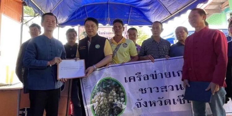ความคืบหน้าโครงการพัฒนาสวนลำไยคุณภาพ (ลำไยไร่ละ 1,400 บาท)