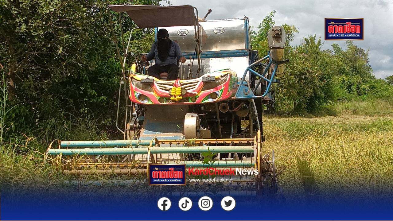 ระวังภัย ชาวนาเร่งเกี่ยวข้าวหนีช้างป่าหน้าแล้ง ขณะกรมอุทยานแห่งชาติสัตว์ป่าและพันธุ์พืชระบุวิกฤตคน ช้างป่าล้นป่า จุดเริ่มต้น “วัคซีนคุมกำเนิด” ป่าตะวันออกสถานการณ์ที่น่ากังวลชาวบ้านต้องสูญเสียชีวิตสถิติของปี 2568