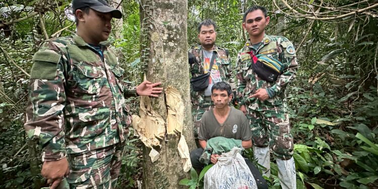 ปราจีนบุรี – 3 พรานไม้หอมลอบขึ้นเขาใหญ่มรดกโลกขโมยตัดไม้หอมเกรดเอ.จับได้ 1รายพร้อมของกลางไม้หอม 25 กก.ยาบ้าและอุปกรณ์