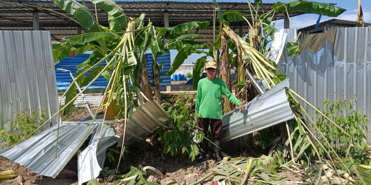 ปราจีนบุรี-ระวังภัย! 2 ช้างป่าสีดอโหนกจับคู่เจ้าแข็งแกร่ง หิวจัดพังรั้งสังกะสีบุกฟาร์มไก่เข้าหากินกล้วย-อ้อย