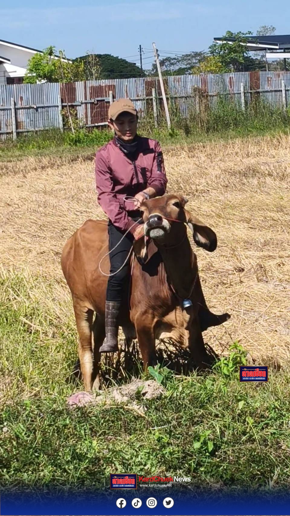 สกลนคร อึ้งหนุ่มสกลฯฝึกสอนวัวให้ขี่ได้เหมือนม้า