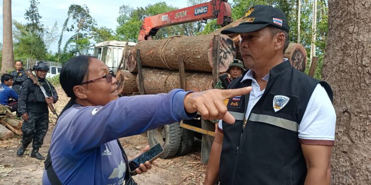 ปราจีนบุรี-ป่าไม้ร่วมฝ่ายปกครองจับผู้ลักลอบตัดไม้ที่สาธารณะก่อนหน้าประกาศขายไม้ยางทาง facebook ขณะทางเจ้าของไม้ที่ประกาศขายแจงไม้ที่ตัดมีเอกสารสิทธิ์ถูกต้องตามกฎหมาย และมีความจำเป็นที่จะตัดไม้ยางขายเพื่อส่งให้หลานได้ศึกษาต่อ ซึ่งหลานสาวกำลังจะเรียนจบอยู่แล้วซึ่งมีความจำเป็นต้องใช้เงิน