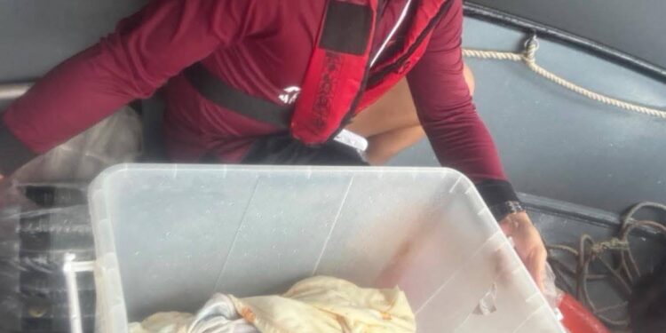 “ตำรวจน้ำสงขลา” เข้าช่วยอพยพประชาชน น้ำท่วมหาดใหญ่ ฝ่าน้ำเข้าจุดเสี่ยงวิกฤต ช่วย 100 ชีวิต พาทารกน้อยพ้นภัย นำร่างผู้เสียชีวิตออกจากพื้นที่น้ำท่วม