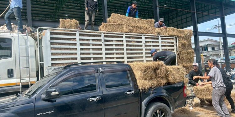 ครอบครัวปศุสัตว์นนทบุรี เร่งช่วยเหลือเกษตรกรที่ประสบอุทกภัย พื้นที่อำเภอปากเกร็ด