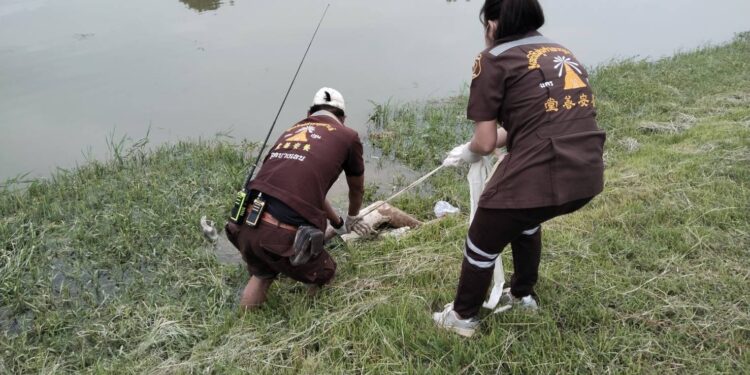 นครปฐม-คืบหน้าล่าสุดเจ้าหน้าที่ตำรวจรู้ตัวผู้ก่อเหตุแล้ว กำลังติดตามจับกุม และจับสัญญานโทรศัพมือถือ //////โดยผู้เสียชีวิตเป็นหญิงอายุประมาน 50 ปี เป็นคนมีฐานะ โดยเป็นคนสมุทรสาคร สาเหตุเป็นเรื่องชู้สาว โดยคนร้ายได้มีความสัมพันกับผู้ตาย ไม่นานจับตัวได้อย่างแน่นอน////