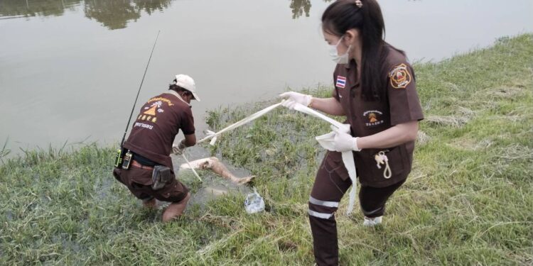 นครปฐม-คืบหน้า ถ่วงน้ำหญิง คลองชลประทาน คาดเป็นสาวใหญ่ สมุทรสาคร