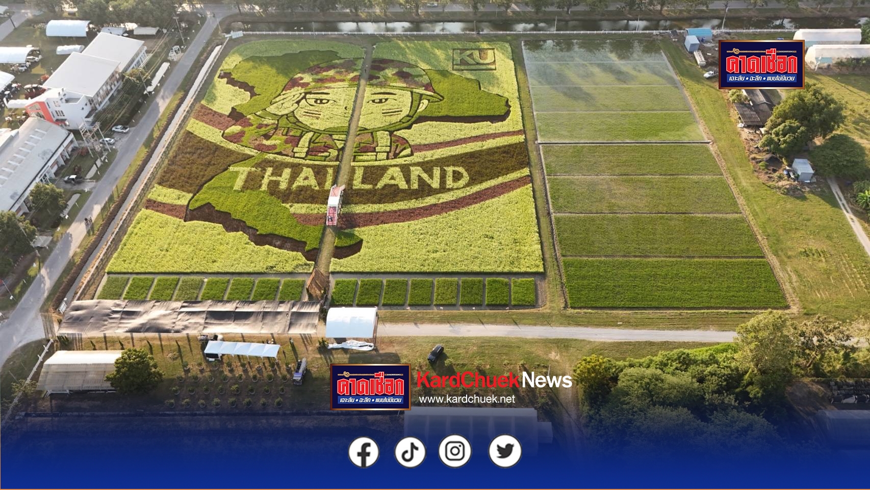 นครปฐม-ศูนย์วิทยาศาสตร์ข้าวร่วมขับเคลื่อนงานศิลปะบนนาข้าว //////พร้อมจัดแสดงพันธุ์ข้าวเด่นและนวัตกรรมการปลูกข้าวครบวงจรนั่งชมวิวทุ่งนาสรรพสีพันธุ์สรรพสี ไรซ์เบอร์รี่ เรดเบอร์รี่ ไบโอเทค 1 หอมสยาม 2 และพันธุ์