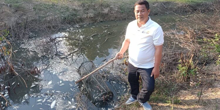 ปราจีนบุรี–หยุดยาวชาวบ้านร้องทุกข์ บ่อบำบัดน้ำเสียทุนจีนเทา ปล่อยน้ำลงคลองปลาตายเกลื่อน ผู้สมัคร ส.ส.พรรคประชาชนนำลุย