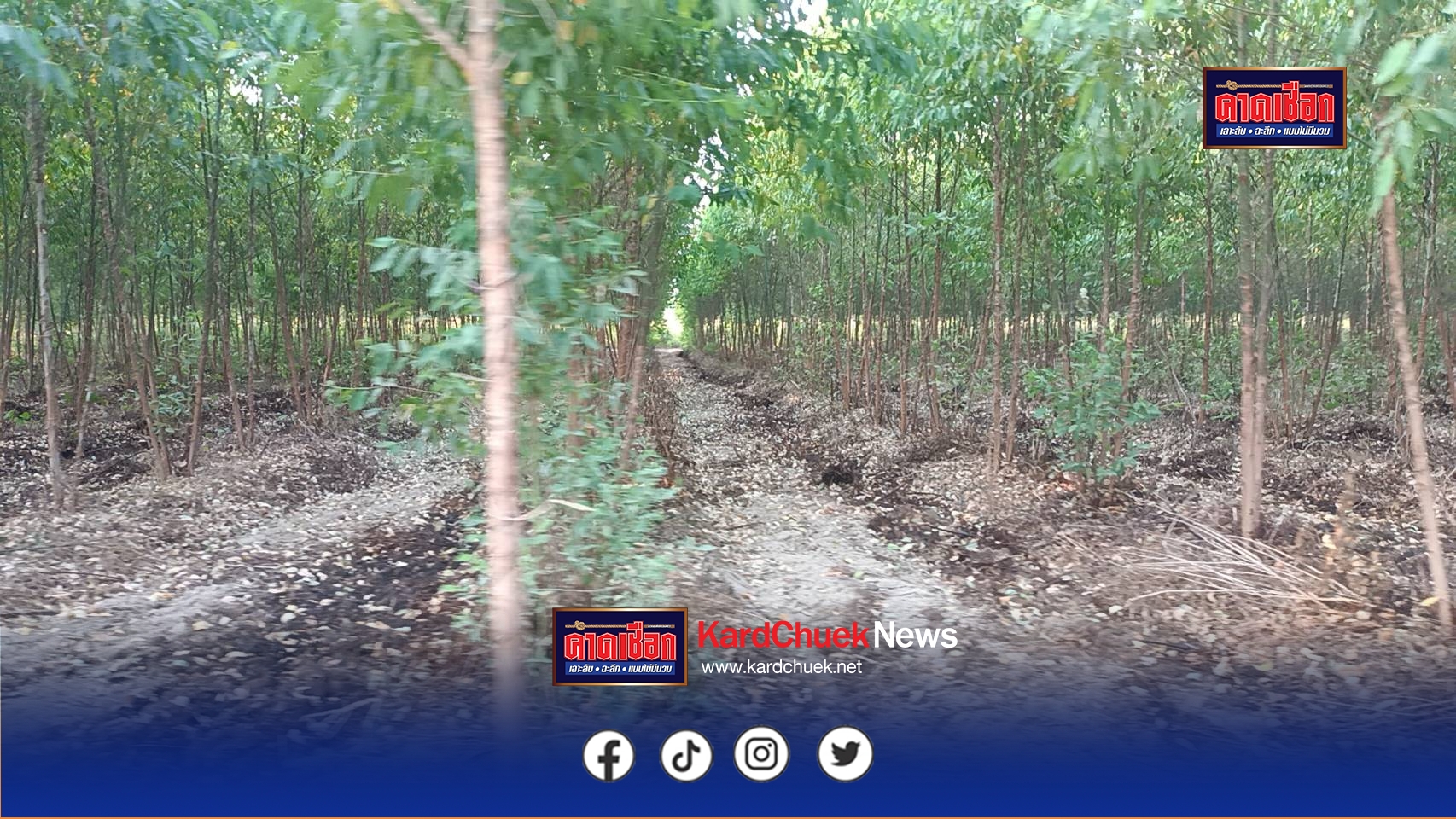 ปราจีนบุรี-ร้องทุกข์ชาวบ้านชาวบ้านแตกตื่นกลิ่นเหม็นน้ำจากโรงงานนำมารดร่องสวนยูคาลิปตัสวันละหลายสิบเที่ยวร้องทุกข์ผ่านโลกออนไลน์