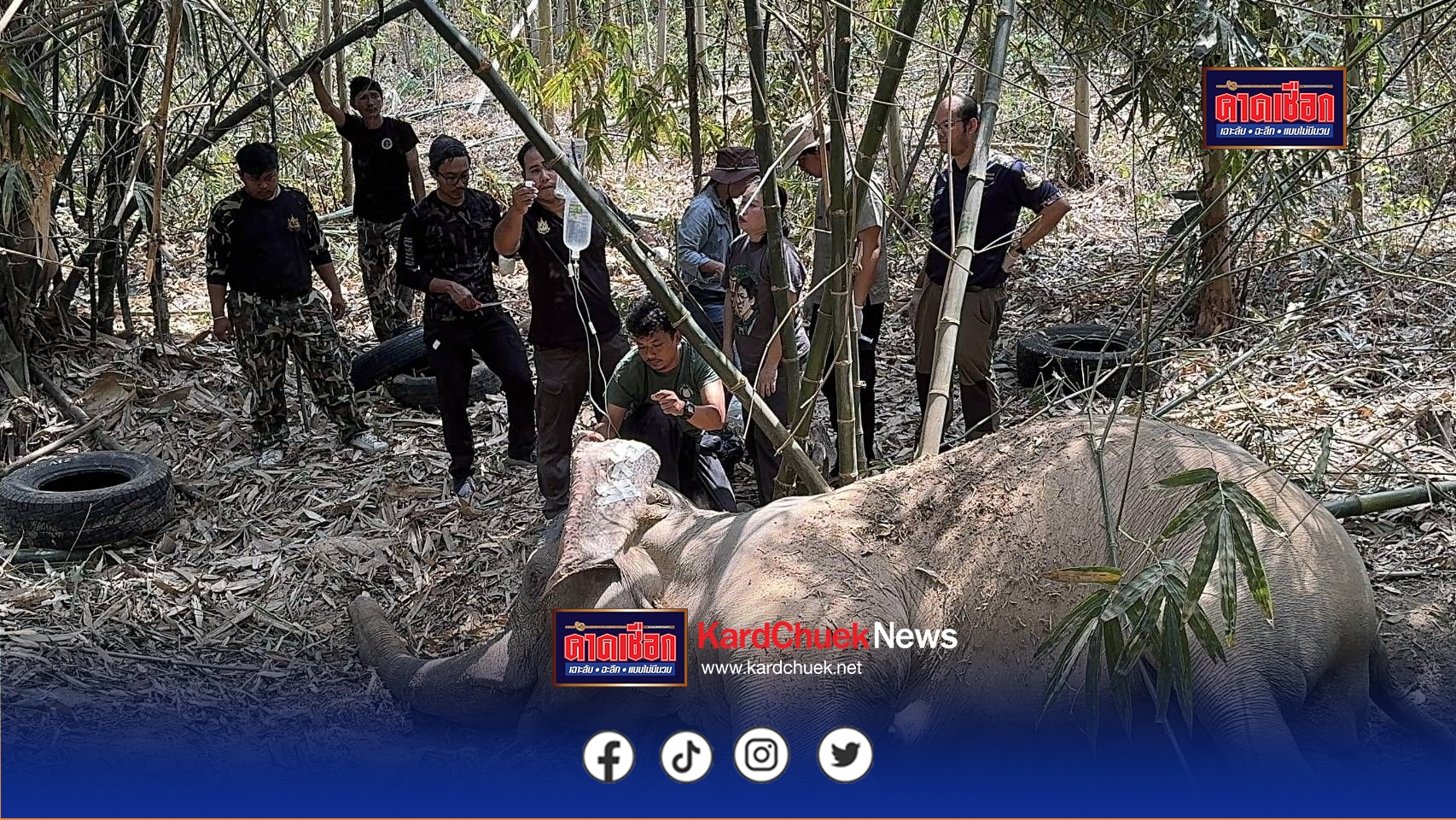 ปราจีนบุรี-สุดยื้อแม่ช้างป่าบาดเจ็บที่สระแก้วล้มแล้ว หลังทีมสัตวแพทย์ระดมกำลังช่วย 3 วันเต็ม