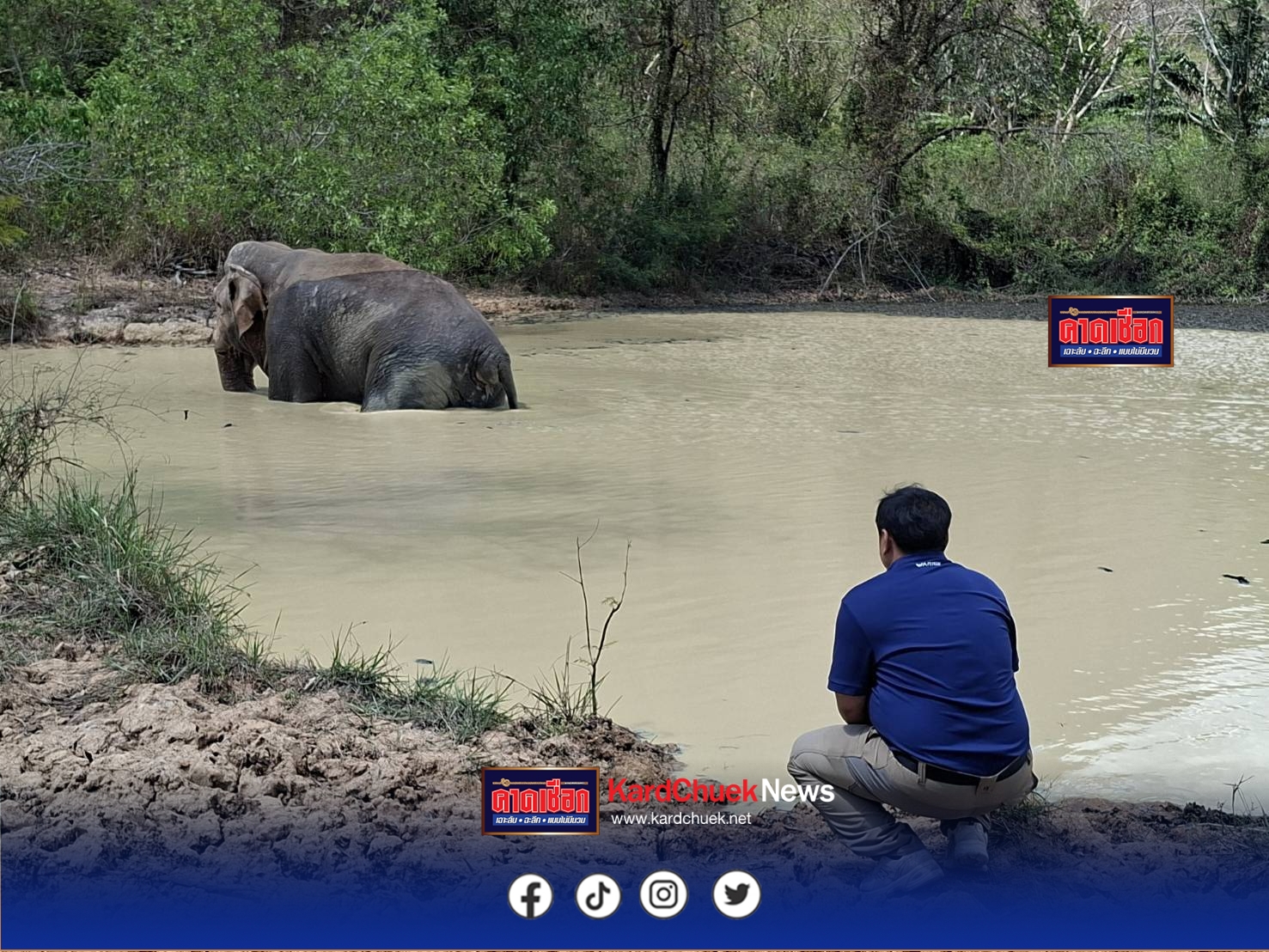 ปราจีนบุรี–อาการพลายด้วนวนาลี หลังพบแผลบวมโคนหาง-สนับงา ล่าสุดกินอาหารได้ปกติ ทีมสัตวแพทย์เฝ้าดูแลใกล้ชิด