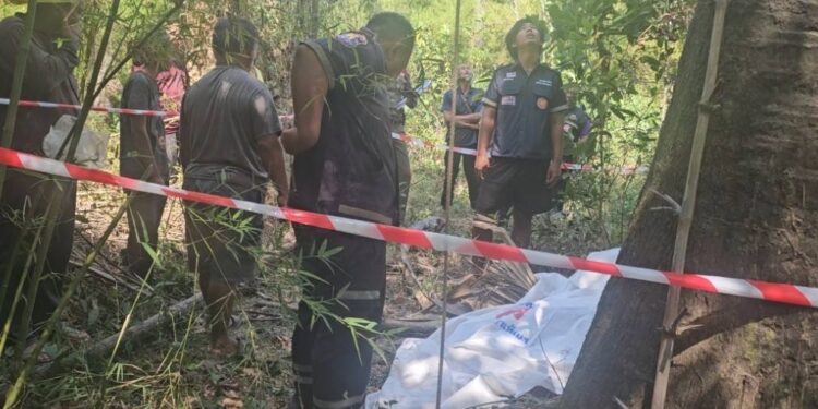 หนุ่มวัย 41 ปี รับจ้างขึ้นตาลเฉาะอาชีพในตำนานตกต้นตาลตายอนาถคาใต้โคนต้นไปอีก 1ชีวิต! เป็นอาชีพภูมิปัญญาดั้งเดิมที่สืบทอดในการทำตาลโตนดขายเลี้ยงชีพ ทั้ง ตาลเฉาะ , น้ำตาลสด และ น้ำตาลงบ หรือน้ำตาลปึกที่เหลือเป็นเอกลักษณ์ มีเหลือคนทำต่อกันเบาบางมีเหลือคนทำต่อกันเบาบาง แม้รายได้ทำน้ำตาลโตนด ,เฉาะลอนตาลขายรายได้ดี แต่ไม่ปลอดภัย