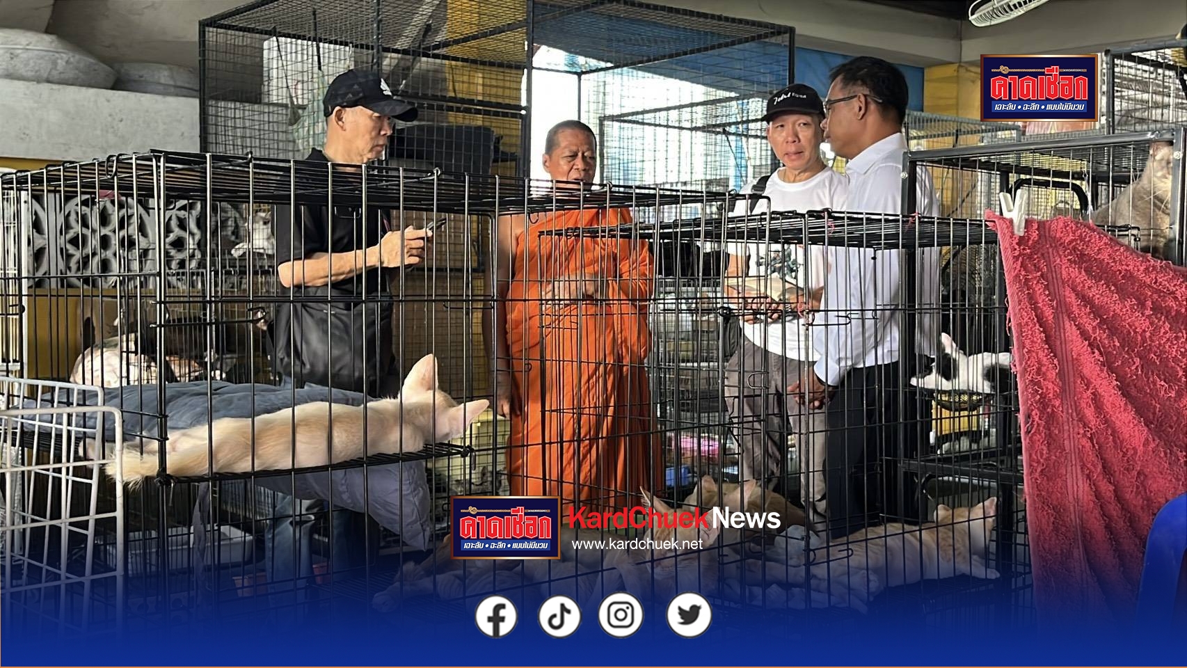 สยบดราม่า ที่แท้เจ้าอาวาสเลี้ยงแมวจรด้วยใจบุญไม่ได้ขายแมวเปอร์เซีย อย่างที่เพจลงข่าว