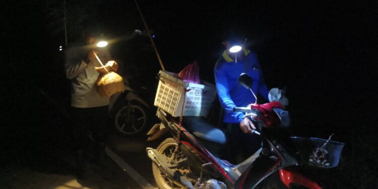 ชัยภูมิ หลังฝนตกชาวบ้านแห่ออกหาอึ่งมาปรุงอาหารเปิบเมนูเด็ดพร้อมขายสร้างรายได้