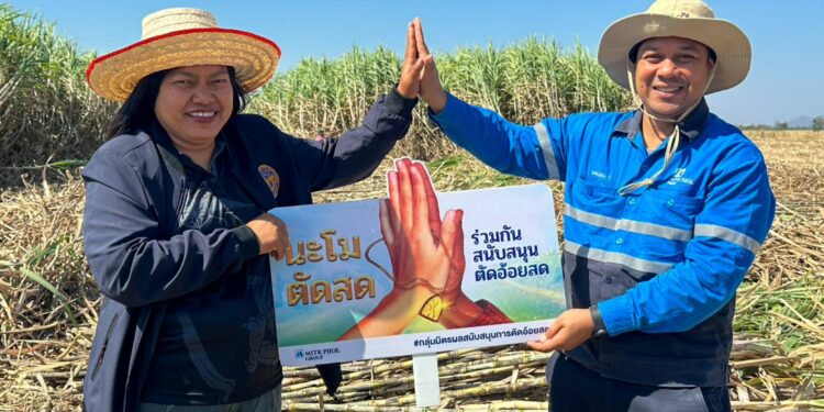     กลุ่มมิตรผลสร้างสถิติใหม่ คว้าผลประเมินด้านความยั่งยืน S&P Global 2025 ด้วยคะแนนสูงสุด ครองตำแหน่งผู้ผลิตน้ำตาลอย่างยั่งยืนอันดับ 1 ของโลก