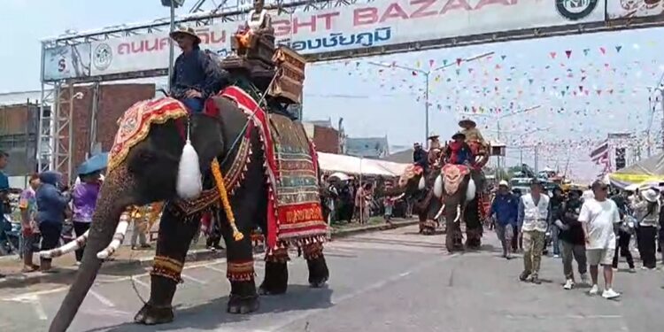 ชัยภูมิ จัดยิ่งใหญ่ลูกหลานเจ้าพระยาแลหลายหมื่นคน ร่วมใจแห่บายศรีใหญ่ ที่สุดในโลกไปถวายแด่องค์เจ้าพ่อพระยาแลพ่อเมืองคนแรก